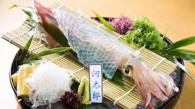 Kawa Taro Hakata eki ten: lebender Tintenfisch Ikizukuri — 1