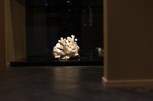 Yakitori Koto: Theatralisches Omakase-Erlebnis — 5