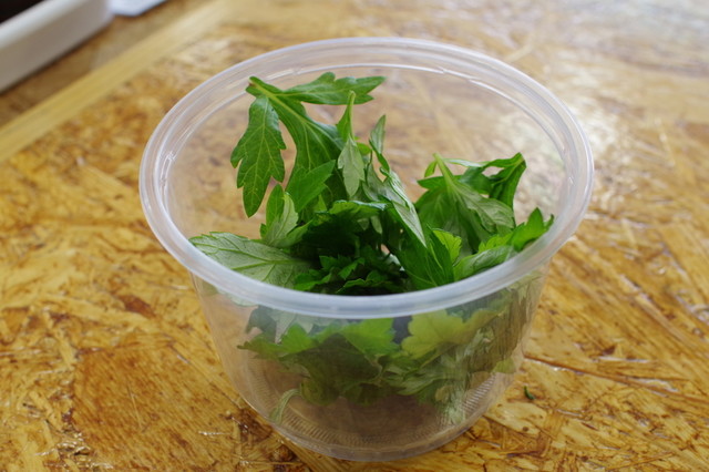 Yunami Sakashita ten: hausgemachte Okinawa-Soba — 5